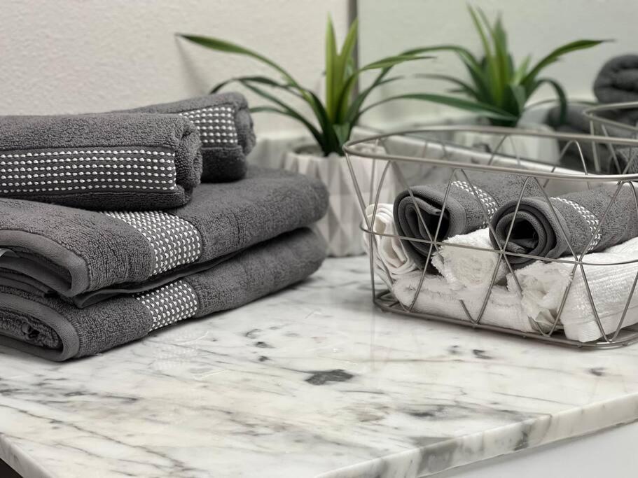 Apartment 3 Min To Dt And Amalie Arena - Cozy 1br - Pool *